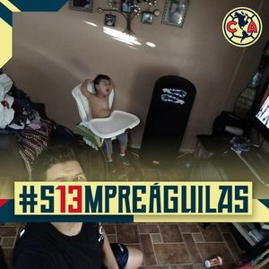 Meet your Posher, Ernesto